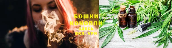 мет Осинники
