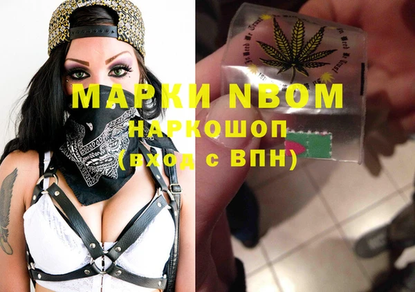 стаф Осташков