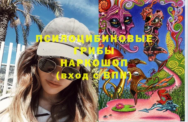 амф Дубна