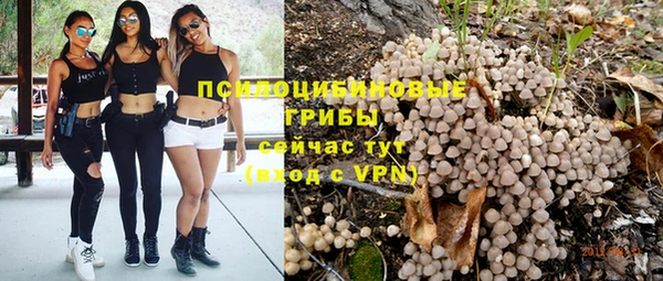 мет Осинники